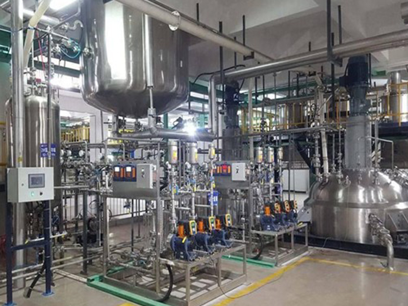 计量加药撬块泵